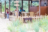 Каролино-Бугаз, фото кафе базы отдыха